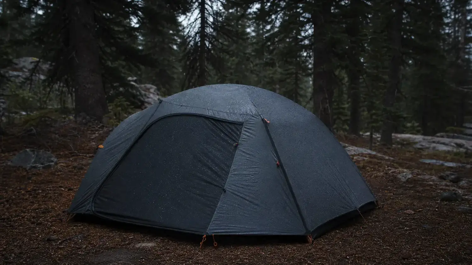 Coleman Sundome Dark Room tent on a overcast campsite with condensation visible on the exterior fly surface in morning light
